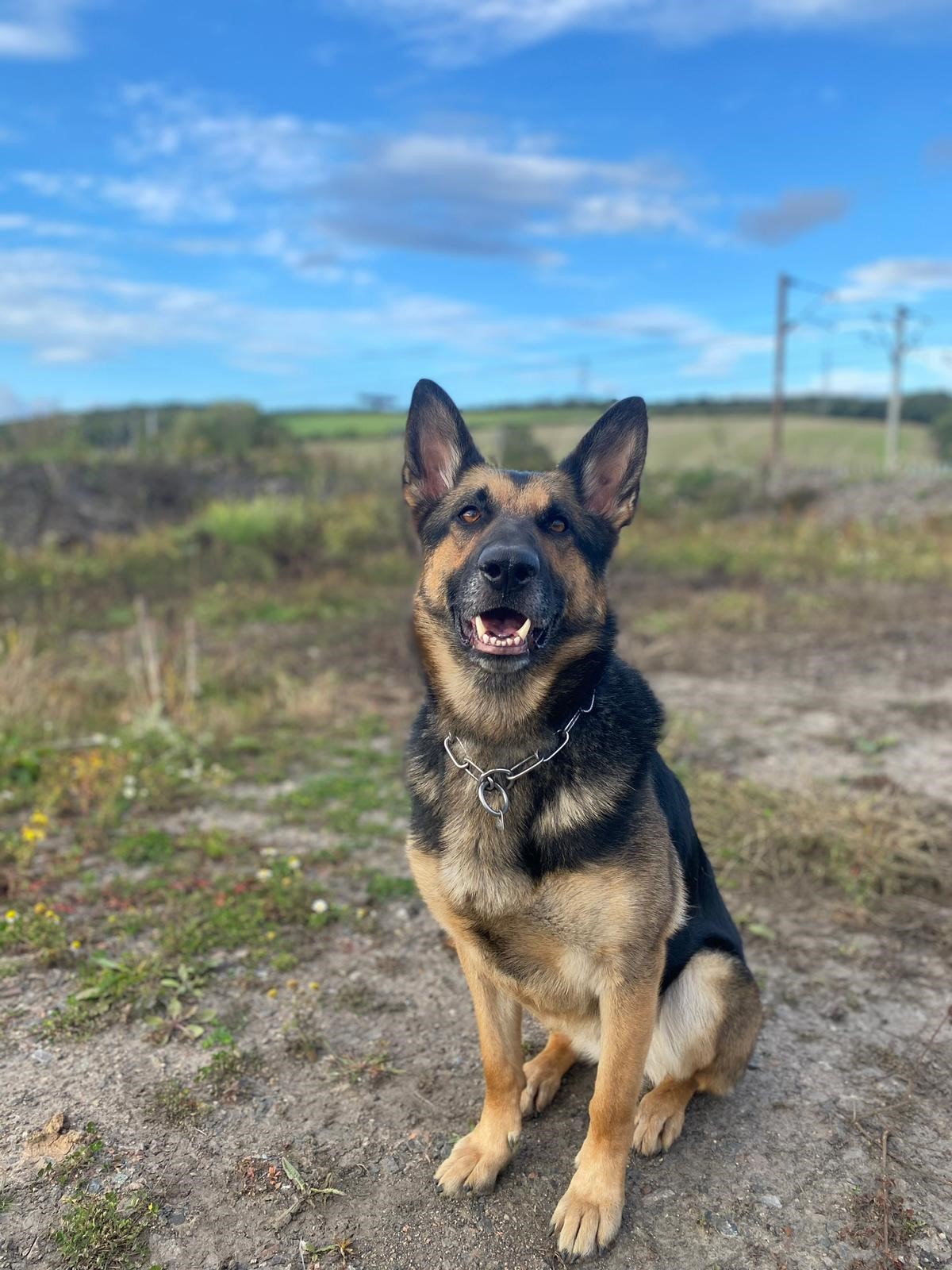 PD Roxy