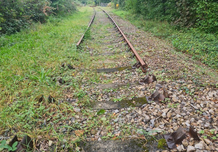 Track 02.jpg